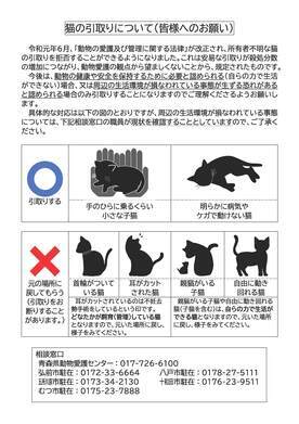 猫の引取りについて